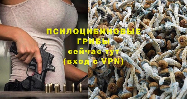 эйфоретик Беломорск