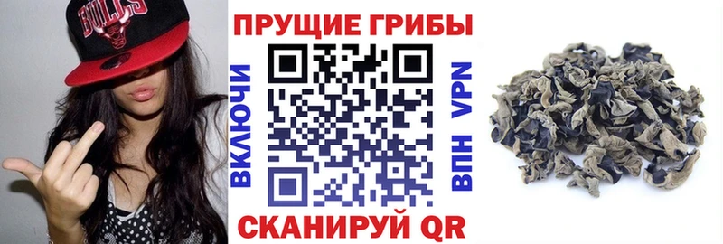 Галлюциногенные грибы GOLDEN TEACHER  как найти закладки  Очёр 